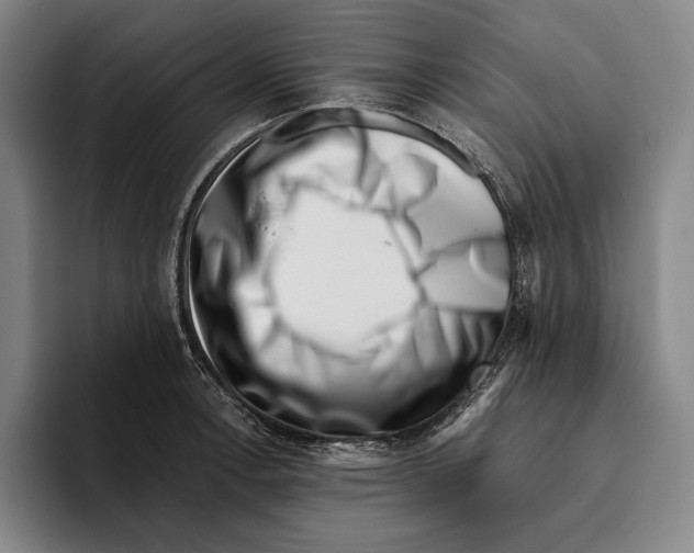 X0000096131138200802151308