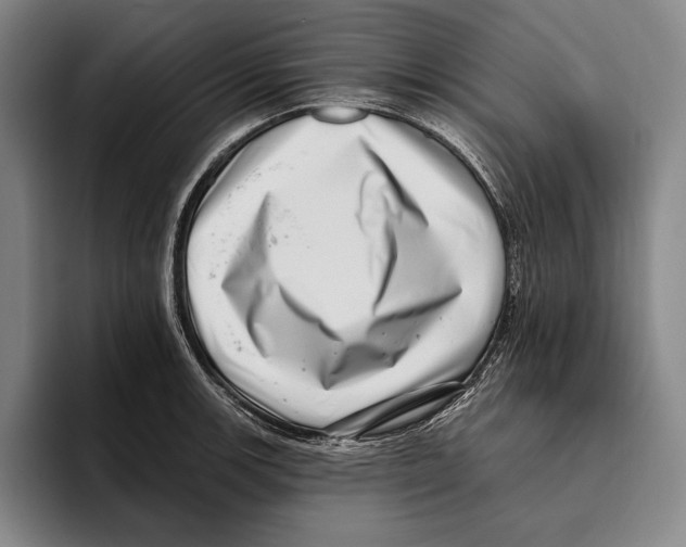 X0000096131139200802151308