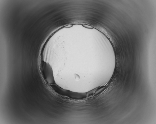 X0000096131140200802151308