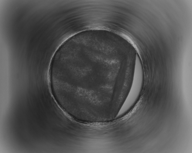 X0000096131141200802151308