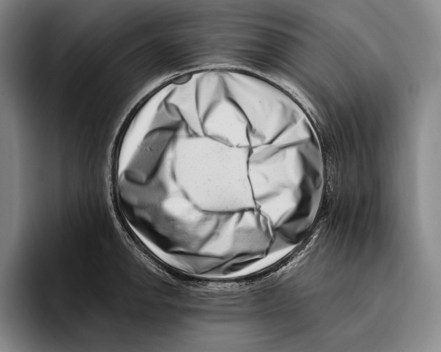 X0000096131142200802151309