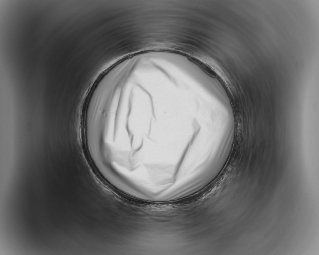 X0000096131143200802151309