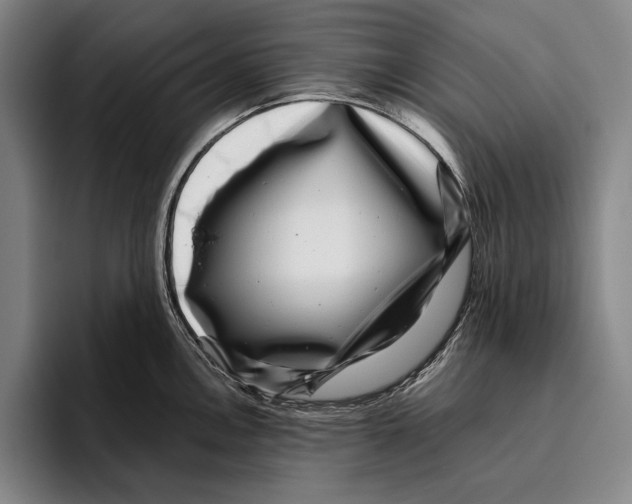 X0000096131146200802151309