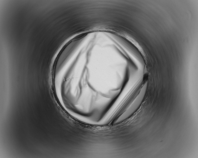 X0000096131148200802151309