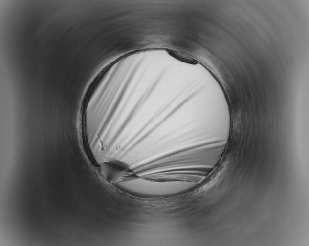 X0000096131149200802151309