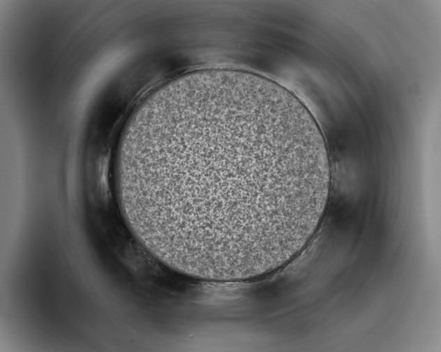 X0000096131150200802151309