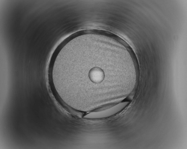 X0000096131152200802151309