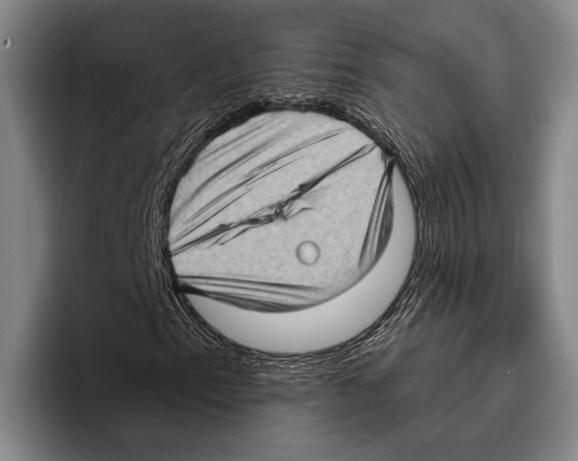 X0000096131153200802151308