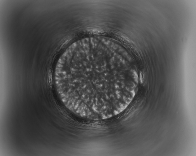 X0000096131155200802151308