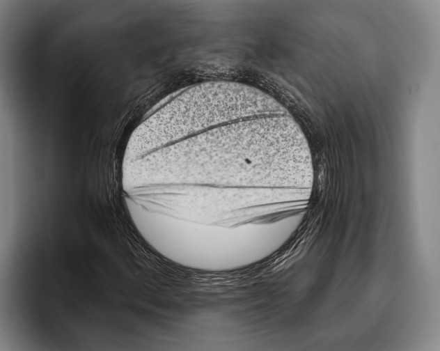 X0000096131156200802151308