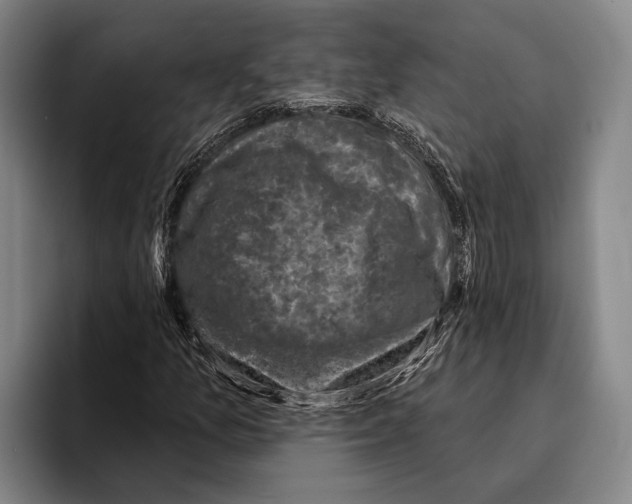 X0000096131157200802151308