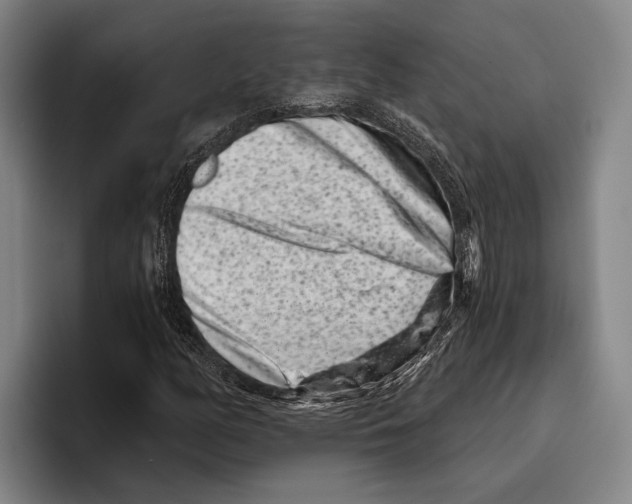 X0000096131158200802151308