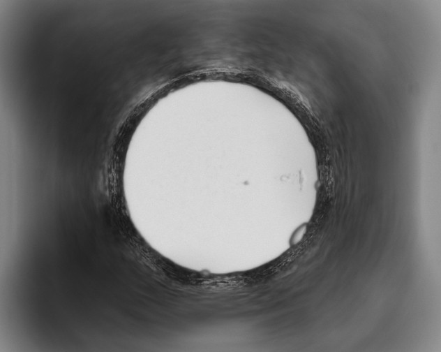 X0000096131159200802151308