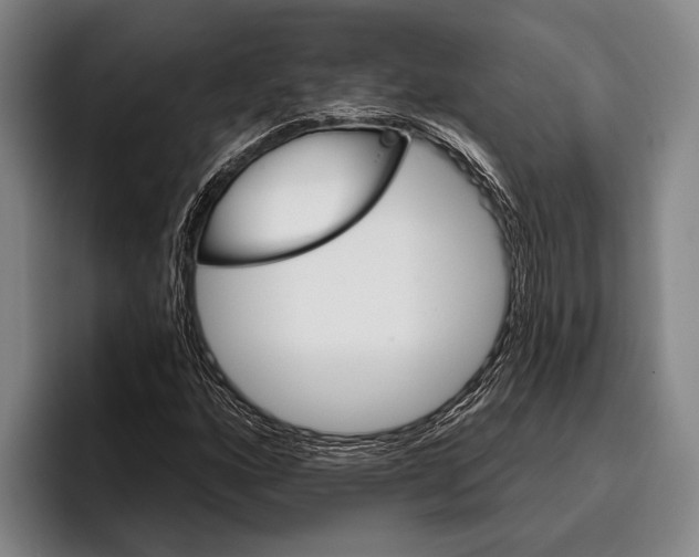 X0000096131160200802151308