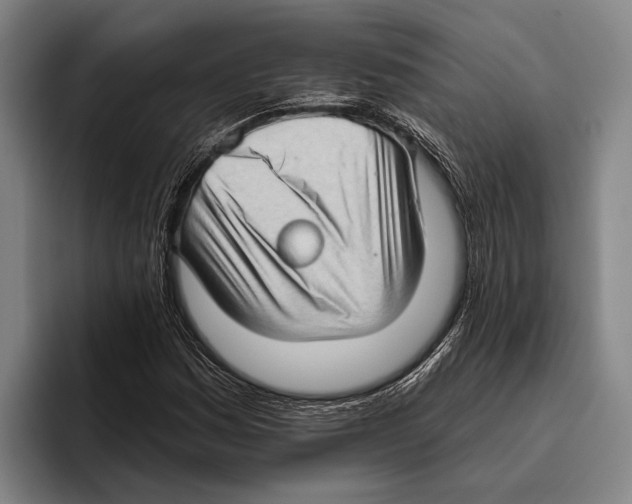 X0000096131161200802151308