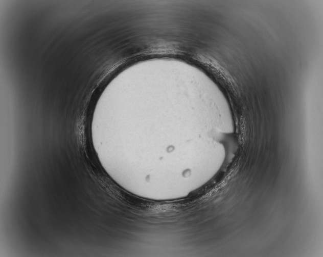 X0000096131162200802151308