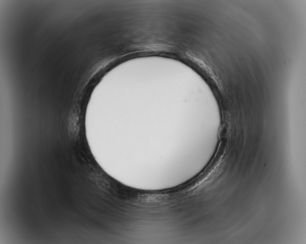 X0000096131163200802151308