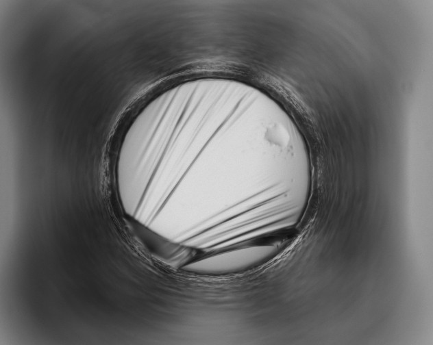 X0000096131164200802151308