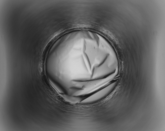 X0000096131165200802151308