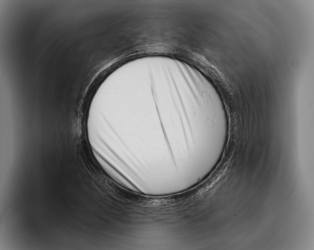 X0000096131166200802151308