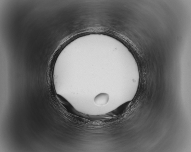 X0000096131168200802151308