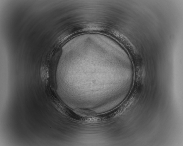 X0000096131169200802151308