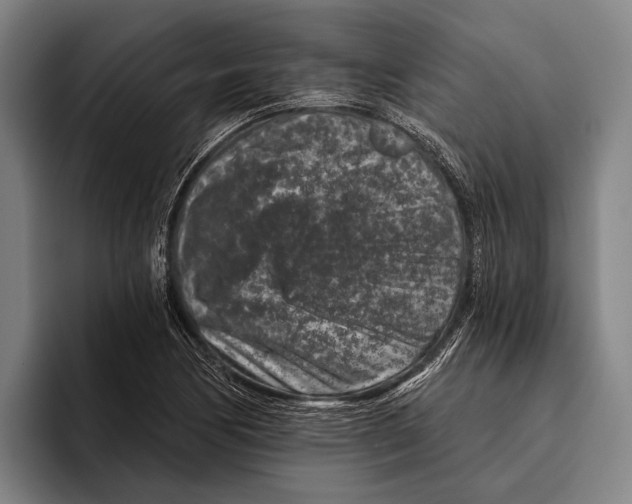 X0000096131170200802151308