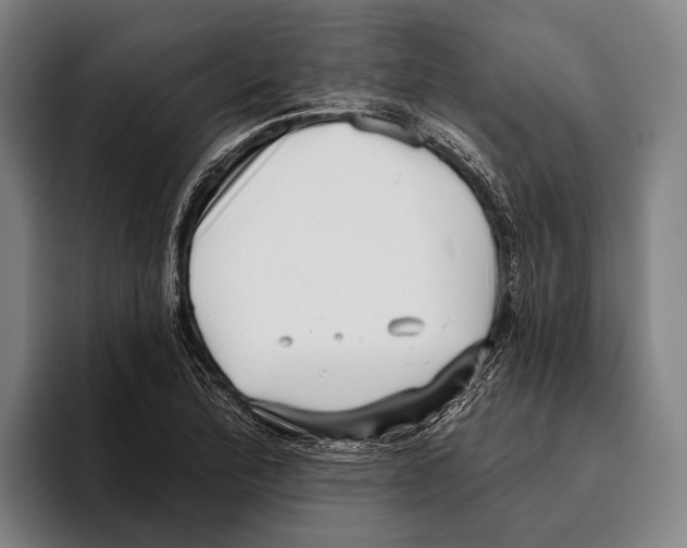 X0000096131172200802151308