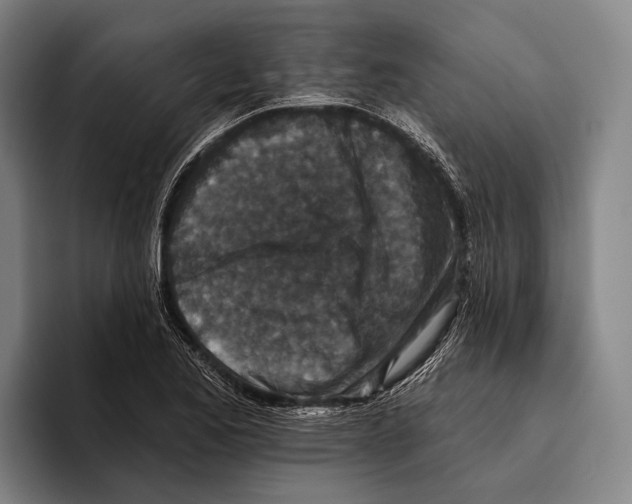 X0000096131173200802151308