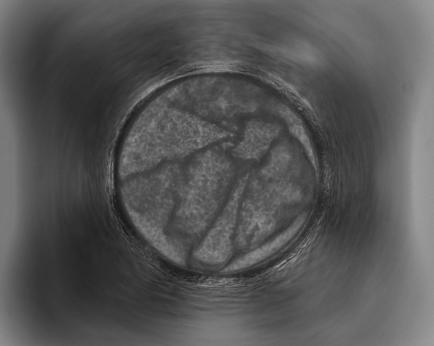 X0000096131174200802151308