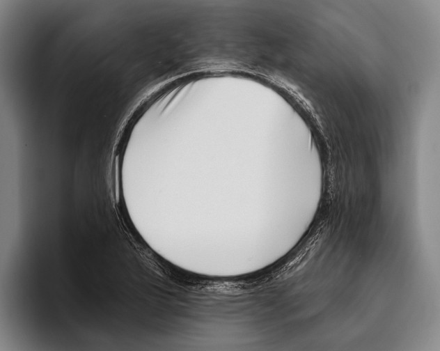 X0000096131175200802151308