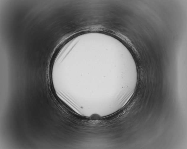 X0000096131176200802151308