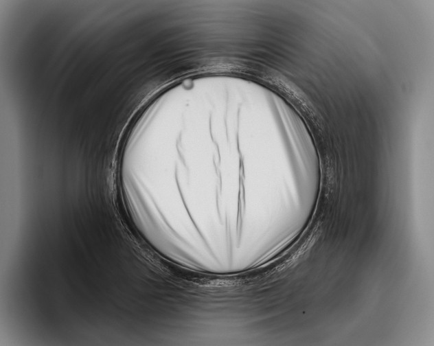 X0000096131178200802151308