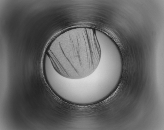 X0000096131180200802151308