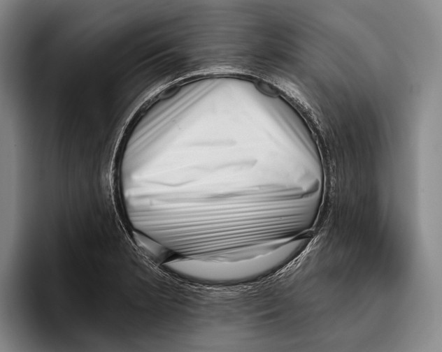 X0000096131181200802151308