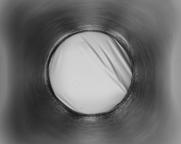 X0000096131182200802151308