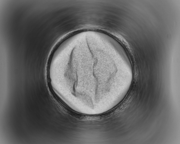 X0000096131183200802151308