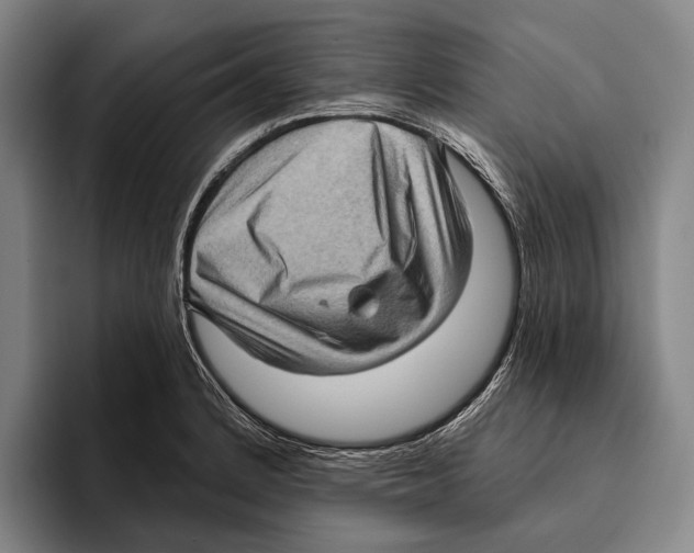 X0000096131184200802151308