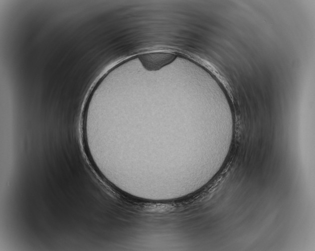 X0000096131187200802151308