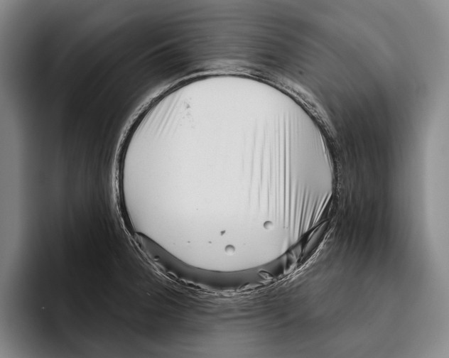 X0000096131188200802151308