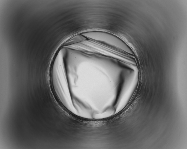 X0000096131189200802151308