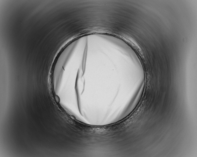 X0000096131190200802151308