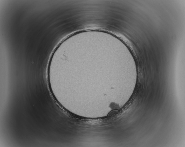 X0000096131191200802151308