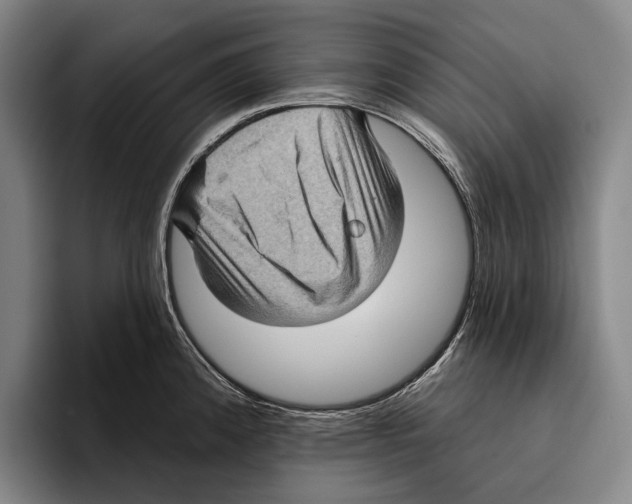 X0000096131192200802151308