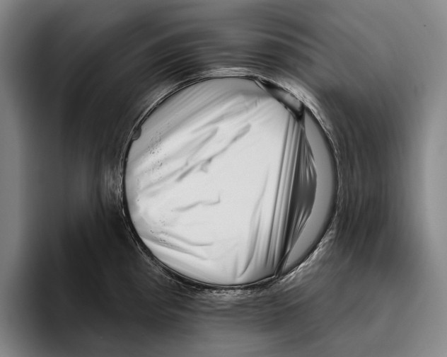 X0000096131193200802151307