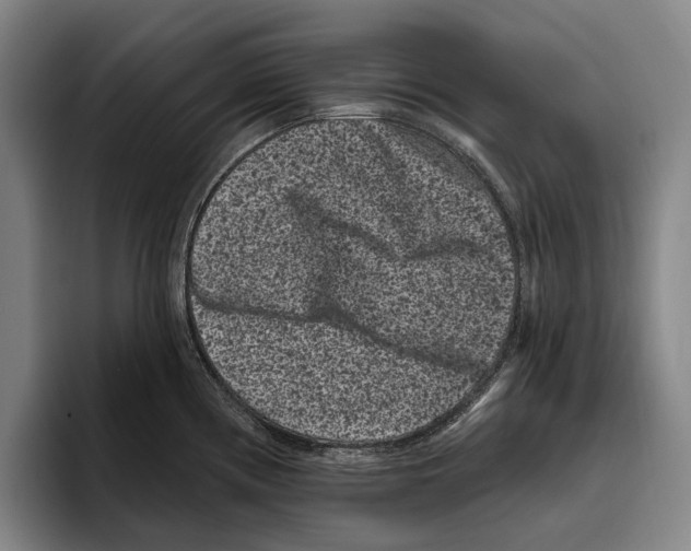 X0000096131194200802151307