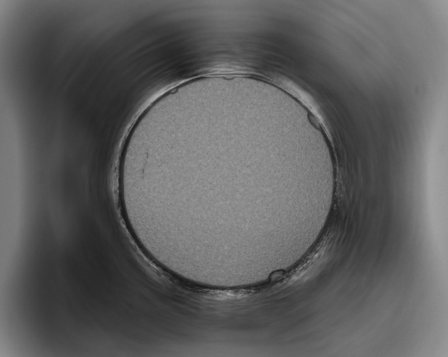 X0000096131195200802151307