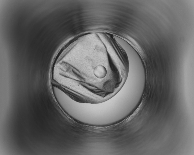 X0000096131196200802151307