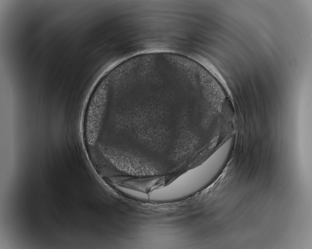 X0000096131197200802151307