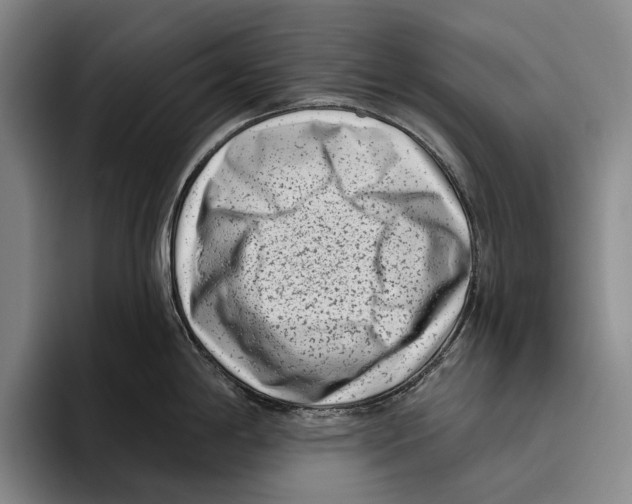 X0000096131198200802151307